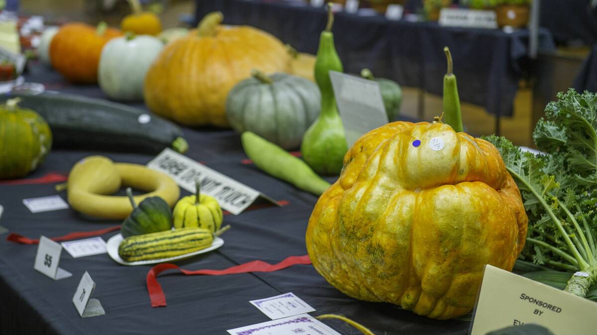 'UGLY': Warren Prewer's pumpkin won the 'Ugliest vegetable' award. Picture: Scott Gelston