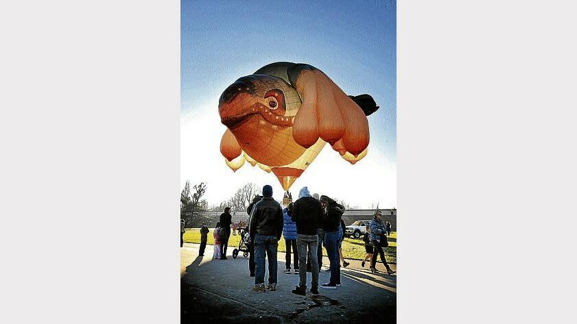 The Skywhale, which was part of the Dark Mofo festival, was able to lure crowds out to Launceston's Royal Park on a frosty Sunday morning. Picture: SCOTT GELSTON