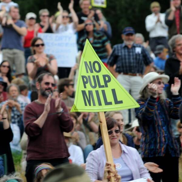 Mill won't be built: rally told