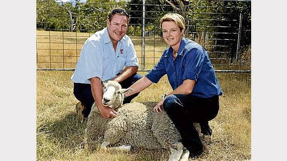 Launceston City Council regulations officers Jarrod Burn and Kate Springer pin down one of the roaming sheep. Picture: GEOFF ROBSON