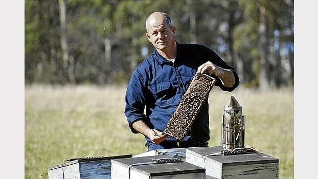 Tasmanian Crop Pollinating Association president John Siermicki.