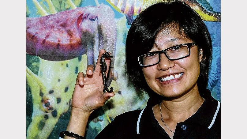 Translator Kuan Nee Lim has been appointed to help Chinese and Malaysian tourists enjoy their Seahorse World experience to the full. Picture: NEIL RICHARDSON