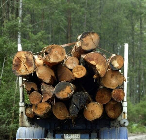 Forestry deal done: $276M to workers
