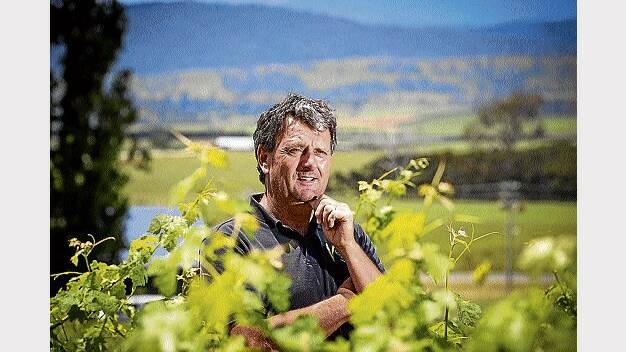 After deciding to sell the venture, Velo Wines co-owner Micheal Wilson reflects on 12 years at the winery.  Picture: PHILLIP BIGGS
