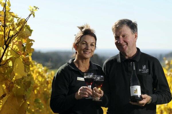Barringwood Park Vineyard's Judy and Ian Robinson with a sample of Tasmanian wine.  Picture: PHILLIP BIGGS