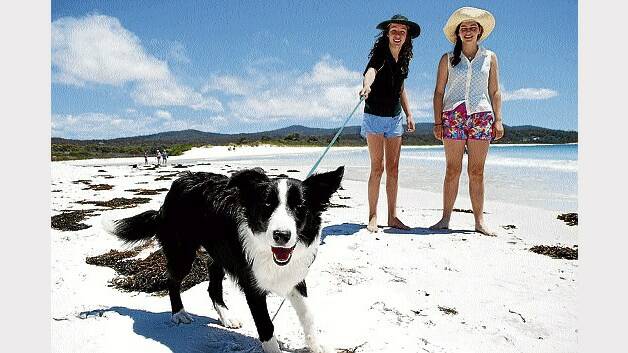 Elizabeth Bain and Abigail Radford, both of Hobart, and dog Maggie take a walk along the beach.