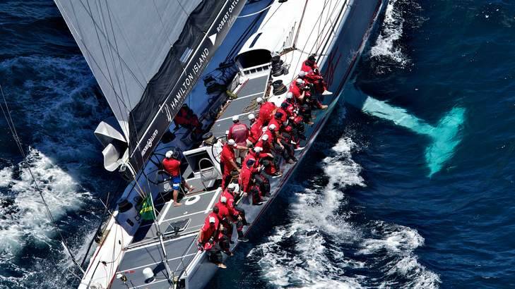 The Wild Oats XI crew hard at work on deck as the fleet leaves Sydney Harbour. Photo: Brendan Esposito