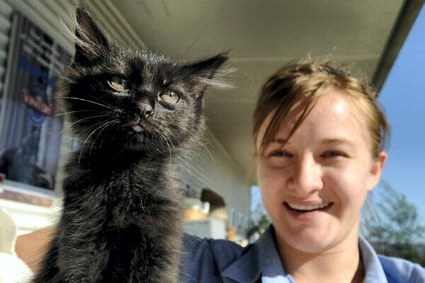 RSPCA urges lucky break for black cats