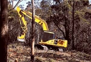 Site clearing has started at the Gunns pulp mill site. Picture: WILL SWAN