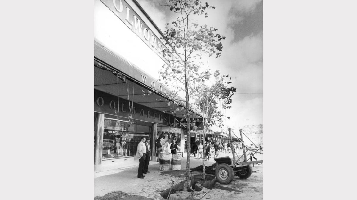 The first of 16 trees are planted in the Brisbane Street Mall. April 8, 1975.