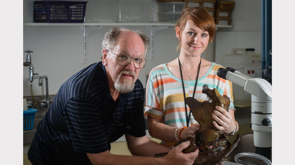 Monash University PHD candidates Peter Trusler and Alana Sharp examine a megafauna skull. Picture: Phillip Biggs