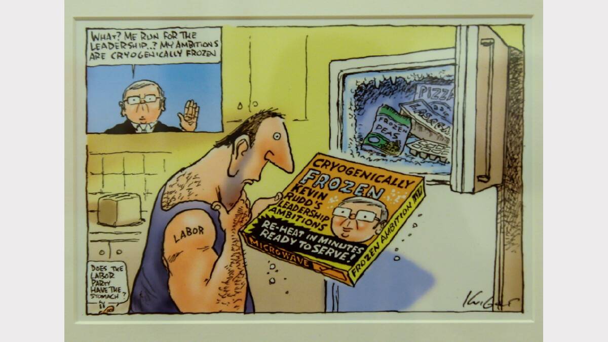 Cartoons from the Behind the Lines exhibition, now showing at QVMAG Royal Park. Picture: Neil Richardson