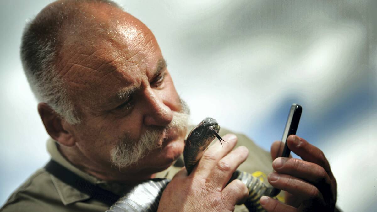 Reptile Rescue East Coast co-ordinator Bruce Press and a tiger snake check the new app.  Picture: SCOTT GELSTON