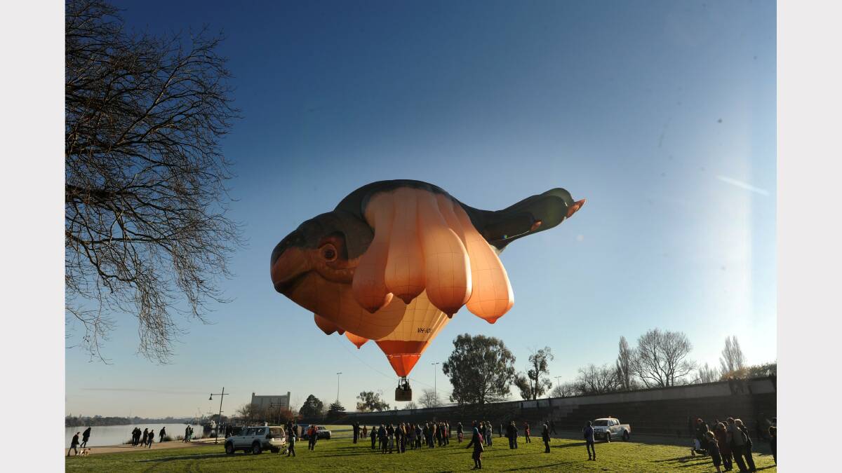 The Skywhale visits Launceston. Picture: Will Swan.