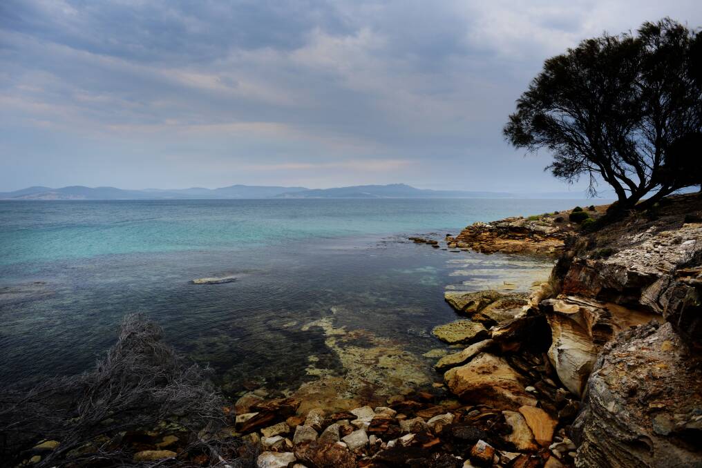 The secrets and delights of Maria Island. Picture: Scott Gelston.