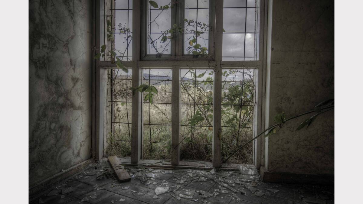 Nature making its way inside the old Royal Derwent Hospital. Picture: Urbex Photography.