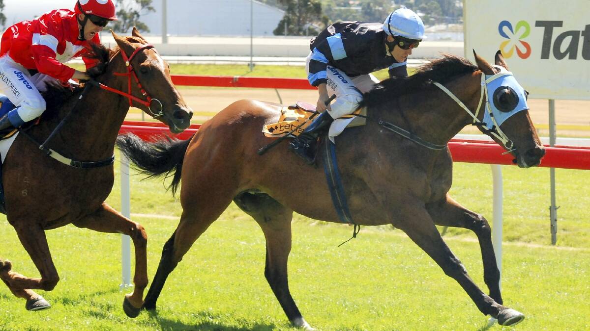 The Cleaner, ridden by Jason Maskiell, wins the Summer Cup at Elwick earlier this month. He is the top local chance in tomorrow's Launceston Cup.