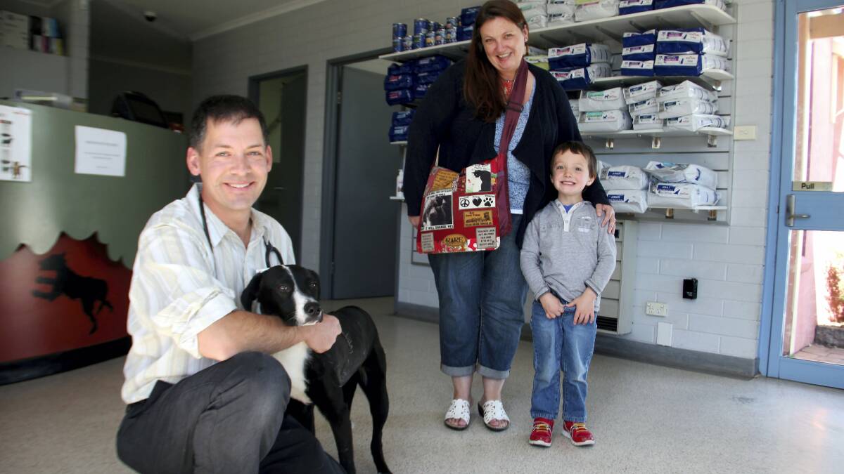 Animal Medical Centre doctor David Allen with seven-month-old Pippa, and Pippa's owners Claire and Archie Munro. Pippa had surgery last week to correct a rare heart condition.