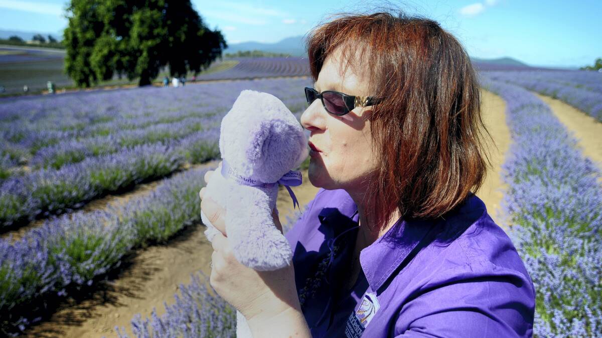 Bridestowe Lavender Farm sales and marketing manager Bronwyn Bishop gives gift shop hit Bobbie the Bear a kiss.