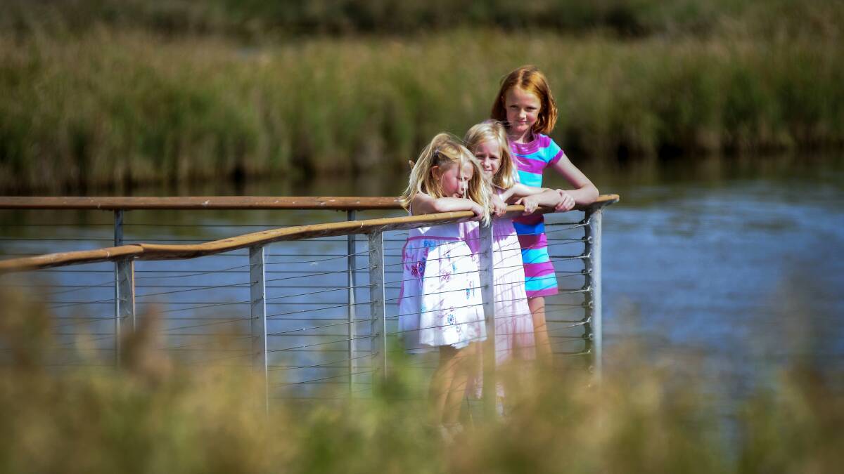 Sarah Deenick, 4, and sisters Joannah, 7, and Rebekah, 8, all of Riverside, during their family trip yesterday to the Tamar Wetlands. Picture: PETER SANDERS