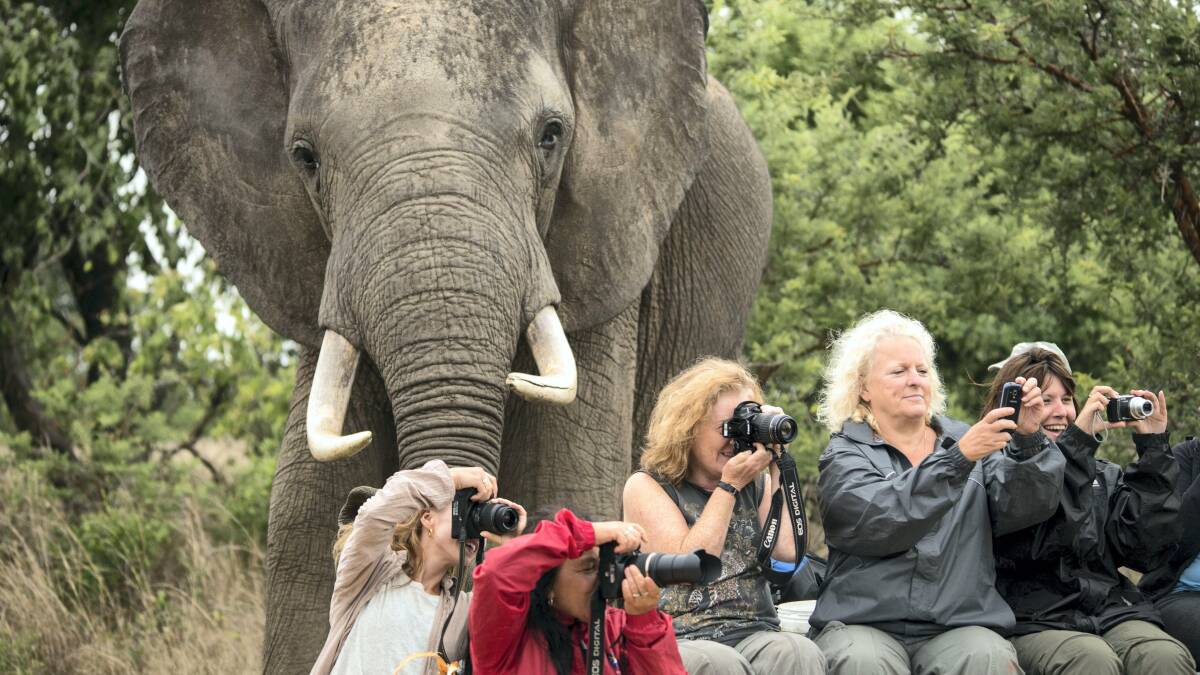 Included in the picture is Launceston's Deb Sulzberger (red jacket), who was volunteering at the Imire Rhino and Wildlife Conservation reserve at the time. Picture: MARCUS SODERLUND