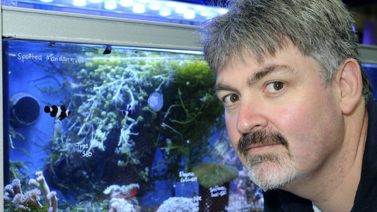 Petland owner Brent Worsley is concerned that people are buying aquarium fish online from interstate and bypassing quarantine regulations.  Picture: PAUL SCAMBLER
