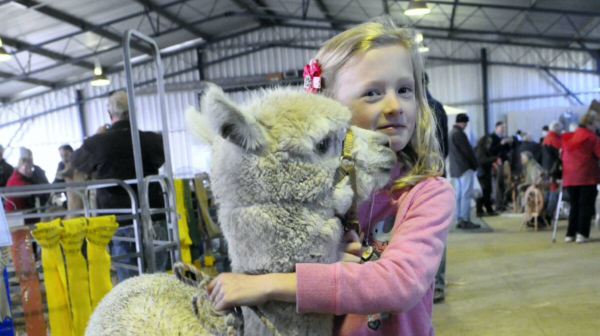 Arielle Glatte, of Windermere, holds onto Nala, of Arnon Lodge at Longford. Picture: PAUL SCAMBLER