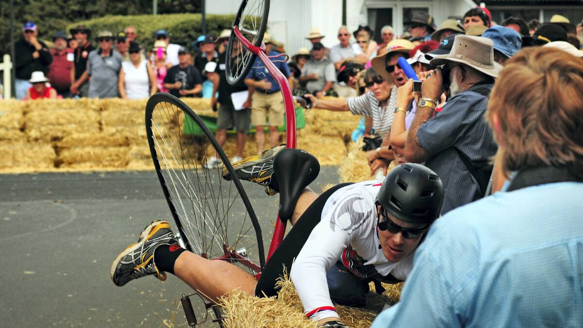 Queensland's Aaron Wray crashes into a hay bale barricade while rounding a corner during the National Penny Farthing Championships at Evandale.   Picture: PHILLIP BIGGS