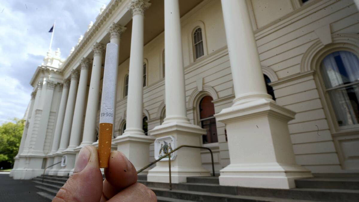 The Launceston City Council yesterday voted to extend the city's smoke-free boundaries. Picture: WILL SWAN 