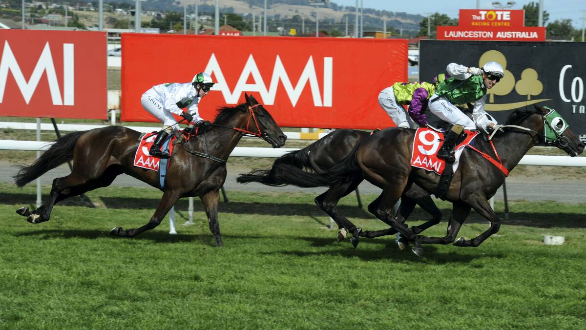 Fieldmaster, ridden by Michelle Payne, finishes third in last year's Launceston Cup behind Prevailing and Geegees Blackflash.