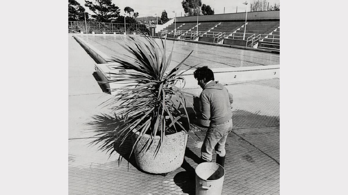 A pool attendant fills a pot plant in readiness for the pool opening at Windmill Hill. Photo: October 1981