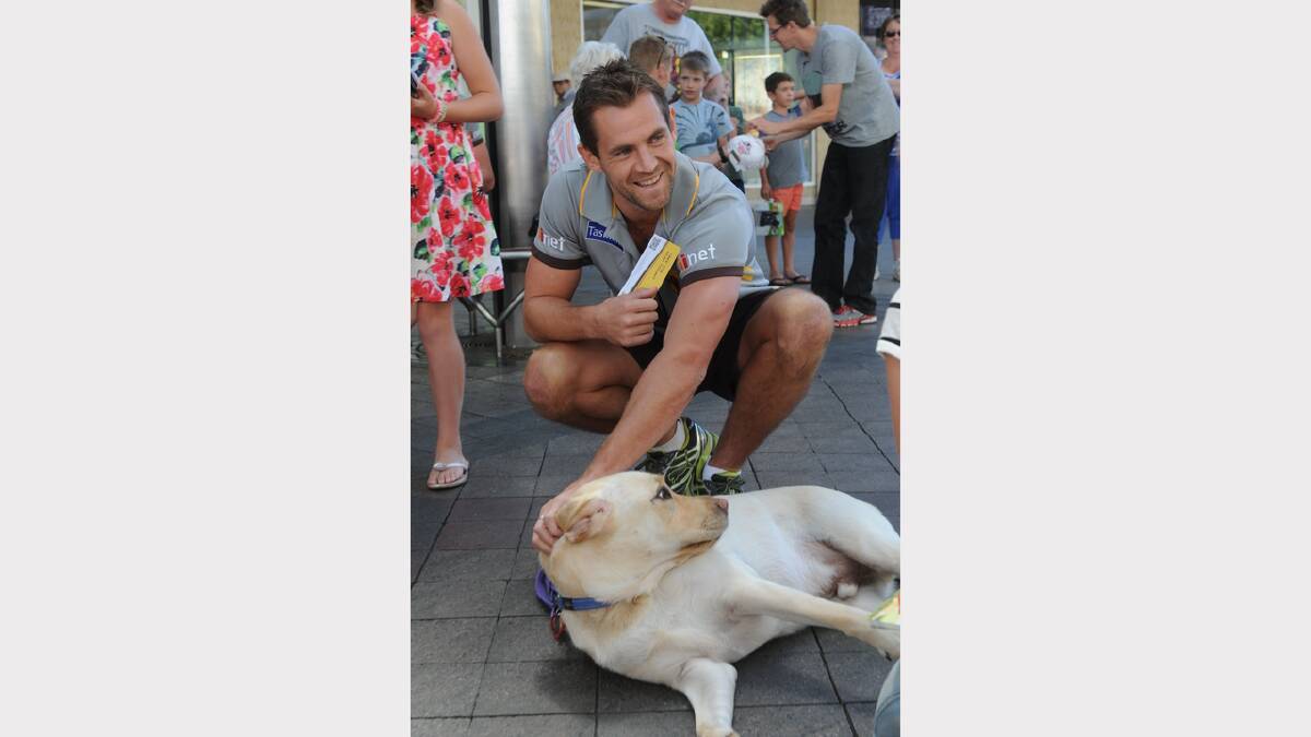 Members of the Hawthorn Football Club went head-to-head with some of Launceston's very lovable guide dogs in the Brisbane St Mall. The Hawks went down in a tail-biter.