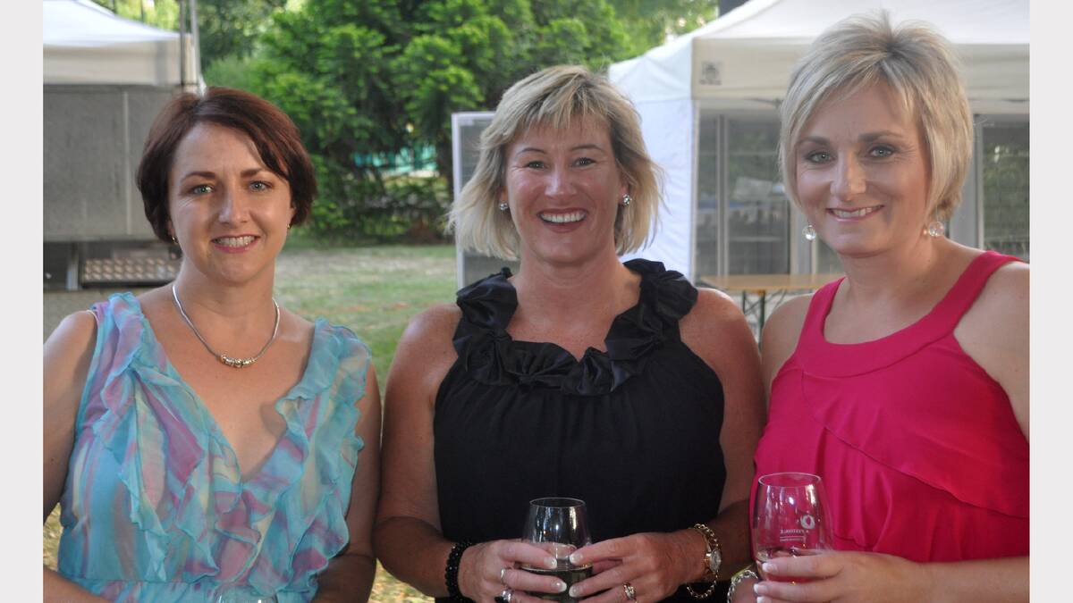 Cocktail party to launch this year's Festival, in the City Park, Launceston.