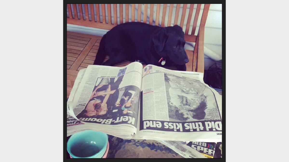 Photo sent in by Alissa of Lola, who loves to read the paper