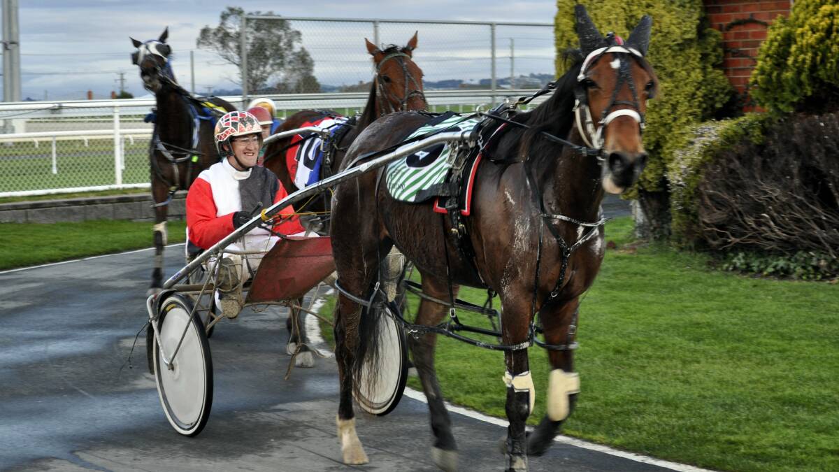 Driver  Nathan Ford brings  Miley Rose  back to the yard after winning the first race at Mowbray last night.