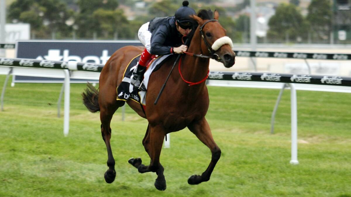Epingle, ridden by Craig Williams, is all by herself as she cruises to an easy win in the Hobart Cup on February 14.