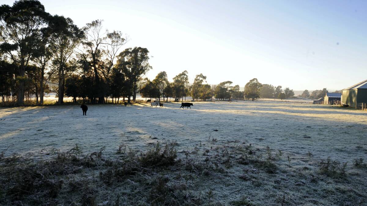 Frost  on Gravelly Beach Road at 8.15am yesterday. Tasmania has been feeling the chill in the air this week.   Picture: WILL SWAN