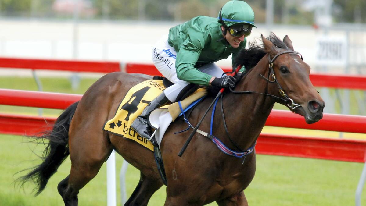 Grand Tycoon will tonight run over 1400 metres for the first time in a trial for the Tasmanian Guineas (1600m).