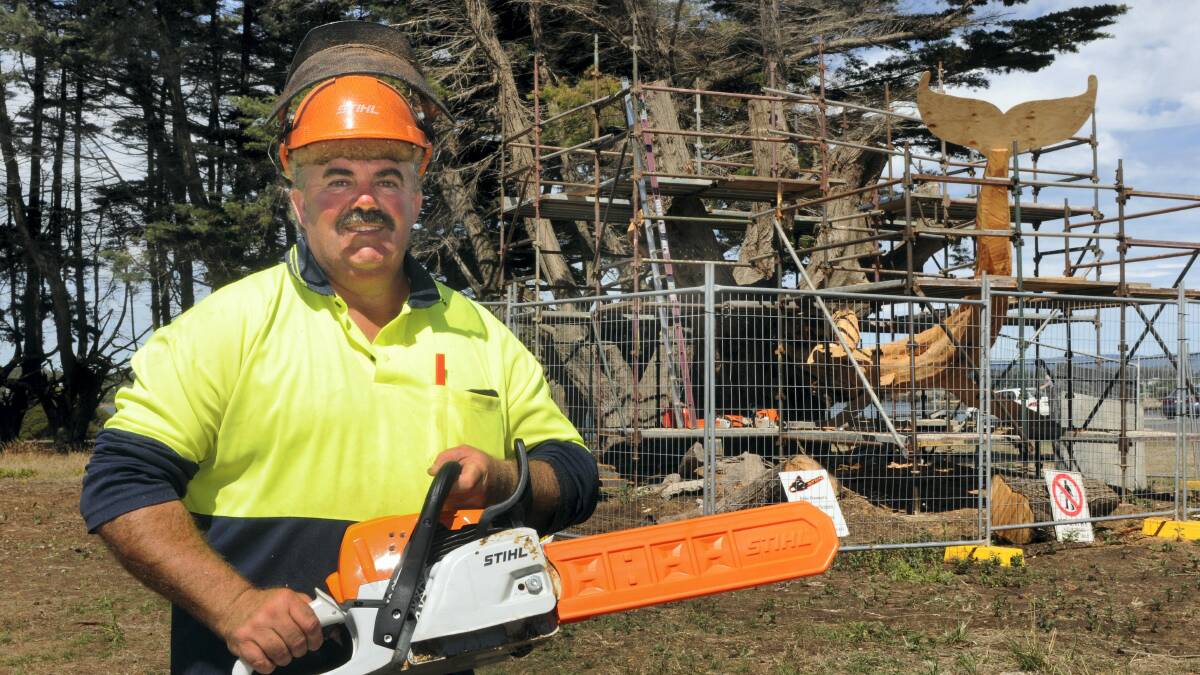 Ross chainsaw sculptor Eddie Freeman in front of the four-pronged macrocarpa pine stump  that he is working on   at George Town's Windmill Point site.  Picture: PAUL SCAMBLER