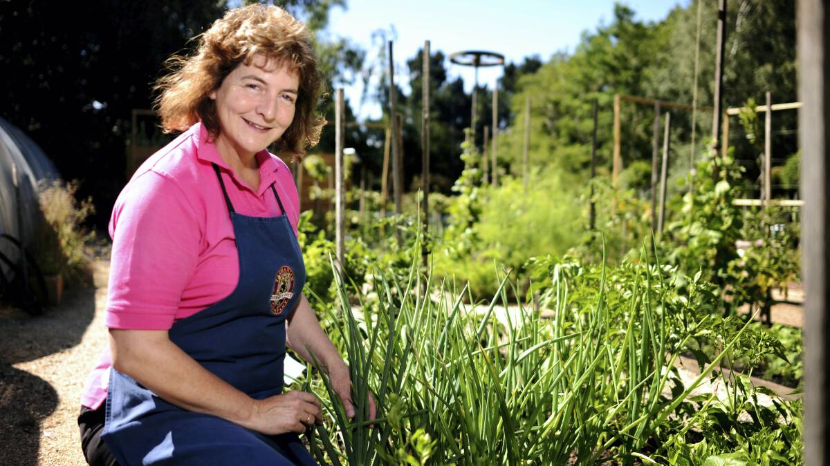 Linda Van Noord, of the Tasmanian Gourmet Sauce Company. Picture: SCOTT GELSTON