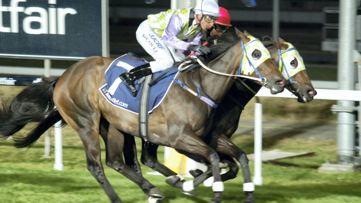 Rebel Bride, on the inside, ridden by Stephen Maskiell just holds out Black N Tough, ridden by Brendon McCoull, in the $100,000 Tattsbet.Com Stakes at Mowbray last night. Picture: TASRACING.