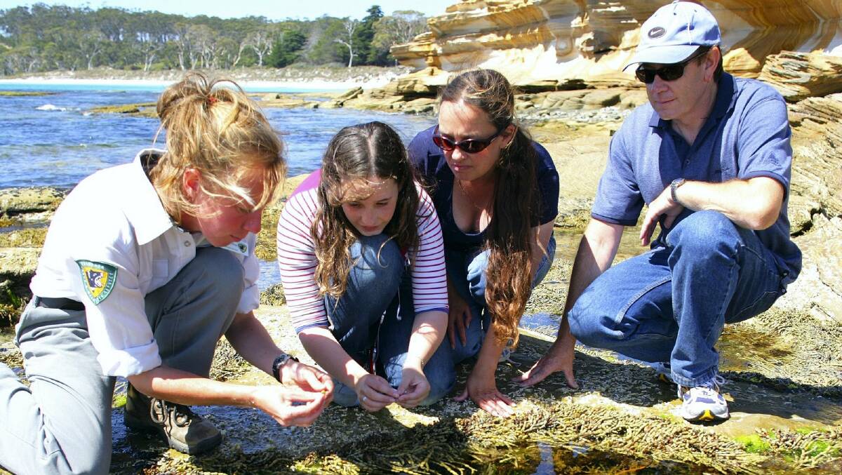 Over the next six weeks the Discovery Ranger program will open up Tasmania's national parks. Rangers will run a range of free activities at venues such as Maria Island.