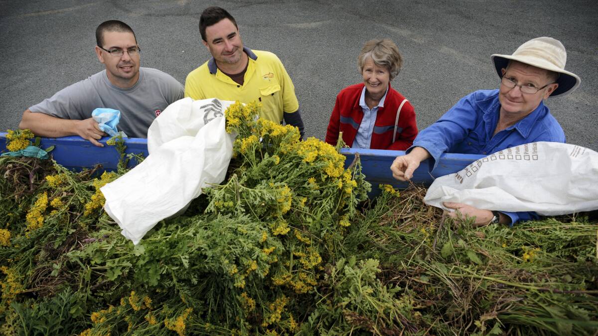 Pete Rodger, of Exeter, Shane McLinden and Gilly Zacks, of Trevallyn, and Peter Voller, of Exeter, with the truckload of ragwort and rubbish cleaned up by the volunteers  who were happy with their West Tamar weed haul _  one of the lowest recorded since the initiative began. Picture: SCOTT GELSTON