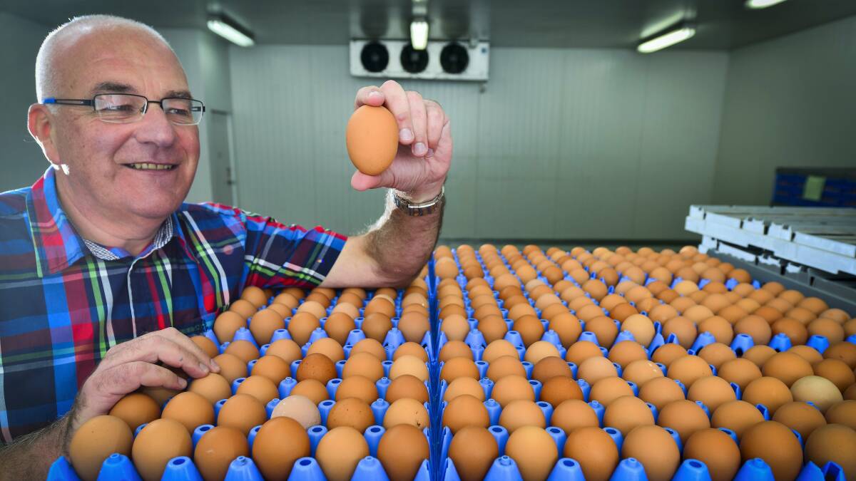 Pure Foods Eggs managing director Danny Jones