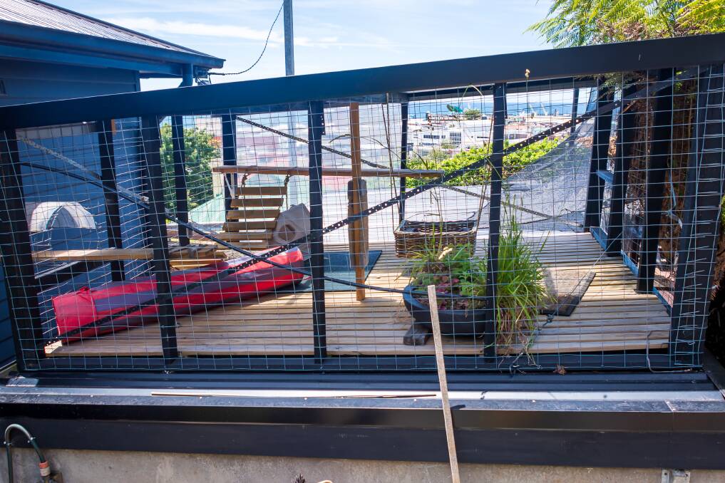 ROAMING ROOM: Just one part of the expansive cat run Grant Wells built for his cats to get a taste of sunshine, safely. PICTURE: Simon Sturzaker