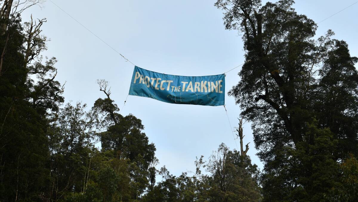 The Tarkine is the site of a number of protests by the BBF. Picture: File