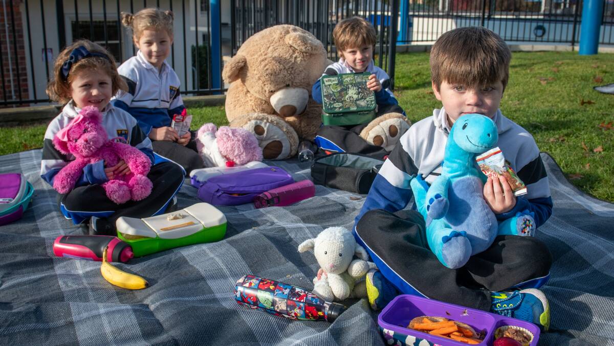 PICNIC: Alfred Gordon and his dinosaur teddy, with Prep class mates Georgina Reid, Edith Coleman and Benny Want. Picture: Paul Scambler