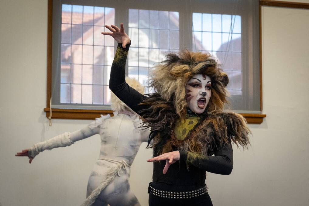 Launceston Grammar School will be performing their production of Cats. Picture by Paul Scambler