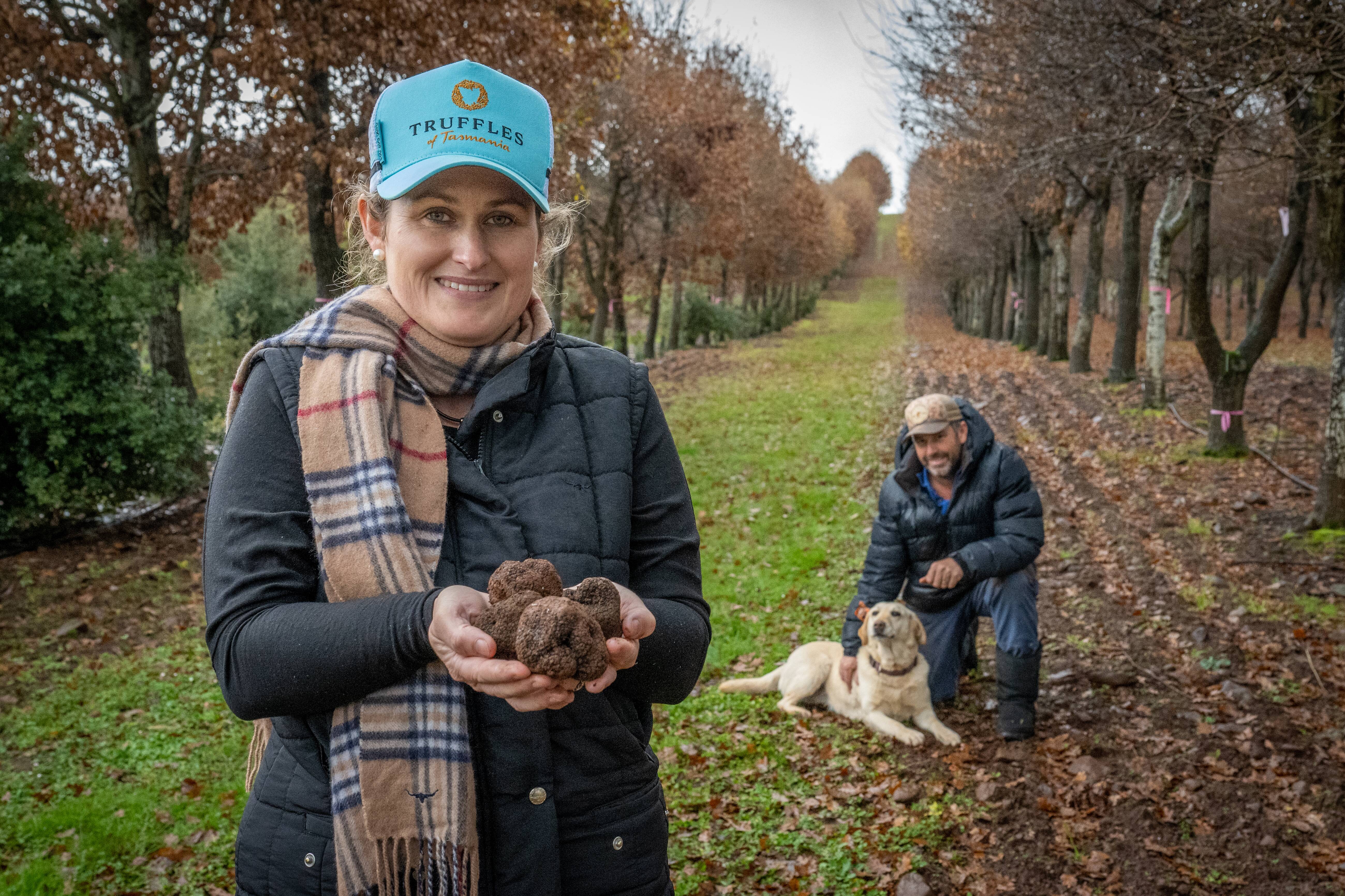 Truffle of Tasmania digging the challenge of the harvest | The Examiner |  Launceston, TAS