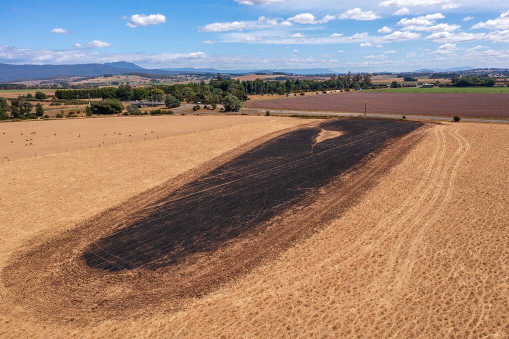 The burnt out paddock at Rupertswood Farm where quick actions avoided it spreading to the tree line and beyond. Picture by Phillip Biggs